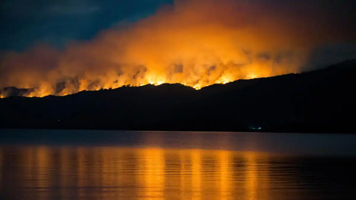 El incendio en el Parque Los Alerces comenzó hace una semana. Foto: Martin Levicoy.