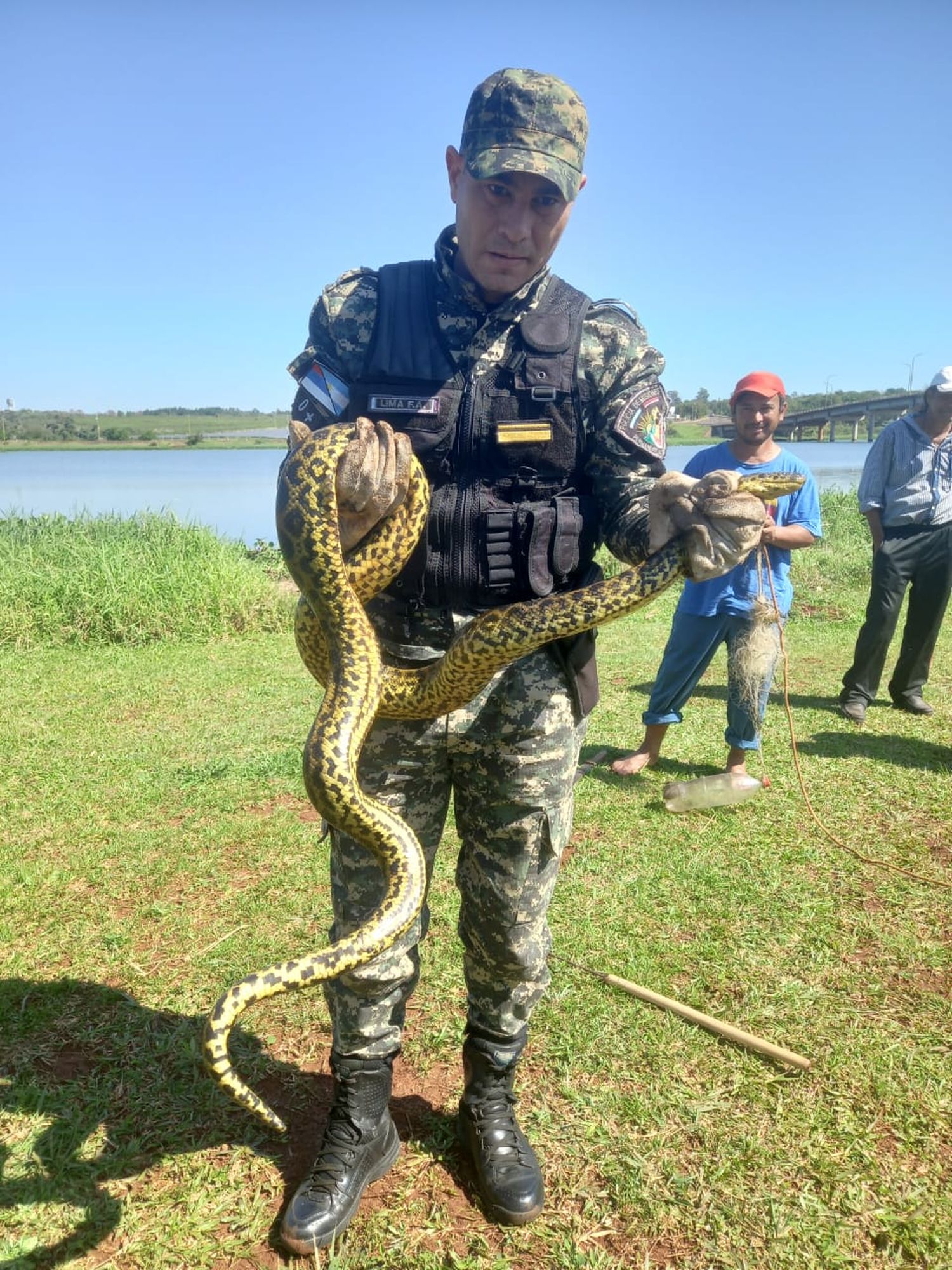 Medio Ambiente: Rescatan a una Boa Curiyú en peligro de extinción