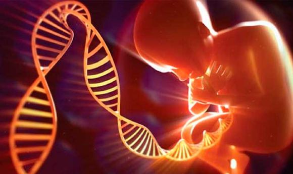 ADN SINTÉTICO: investigadores logran crear una secuencia que puede ayudar en terapias celulares