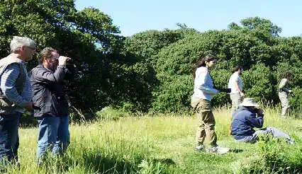 Avistaje en El Tupungato