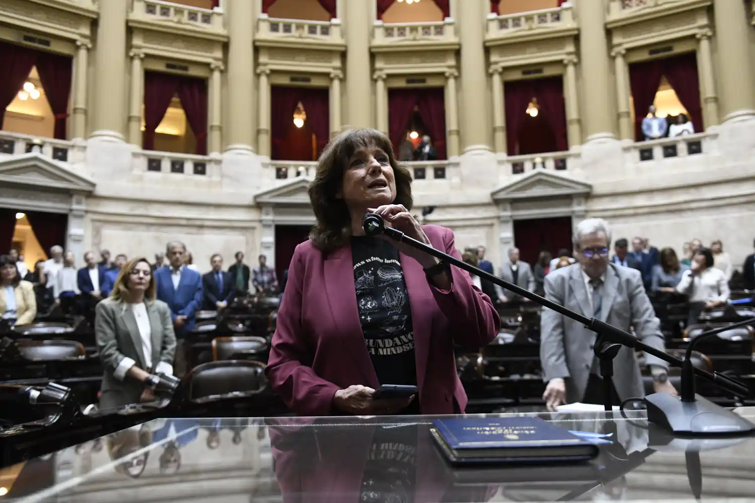 Vilma Ripoll (Foto: Prensa Diputados)