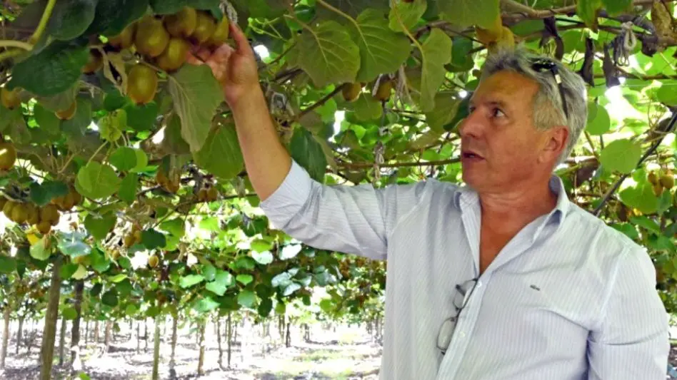 Acuerdo comercial entre el Mercosur y la Unión Europea; palabra de los productores frutihortícolas