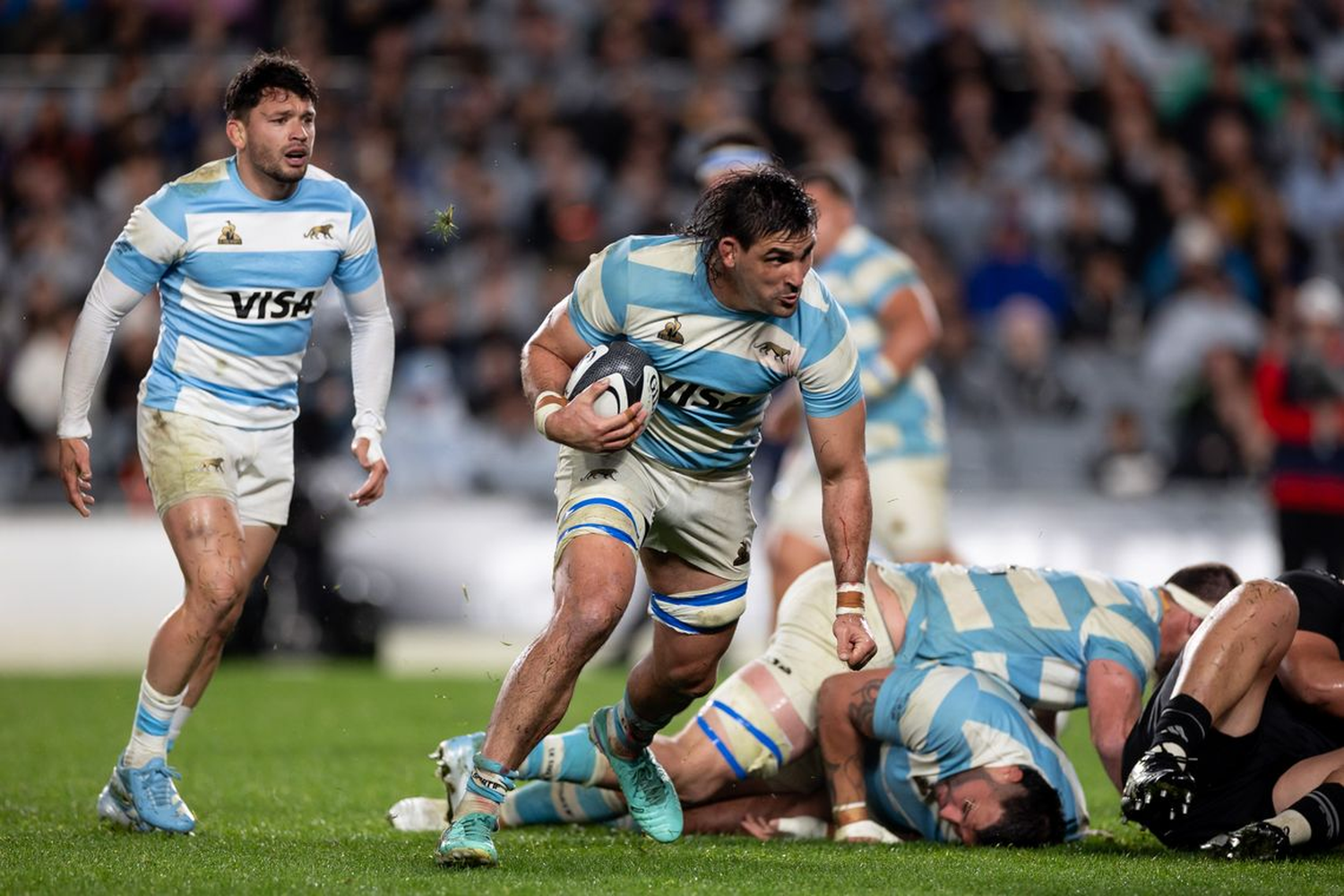 Los Pumas quieren dar pelea en el Rugby Championship