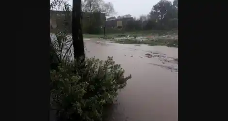 “No podemos salir”