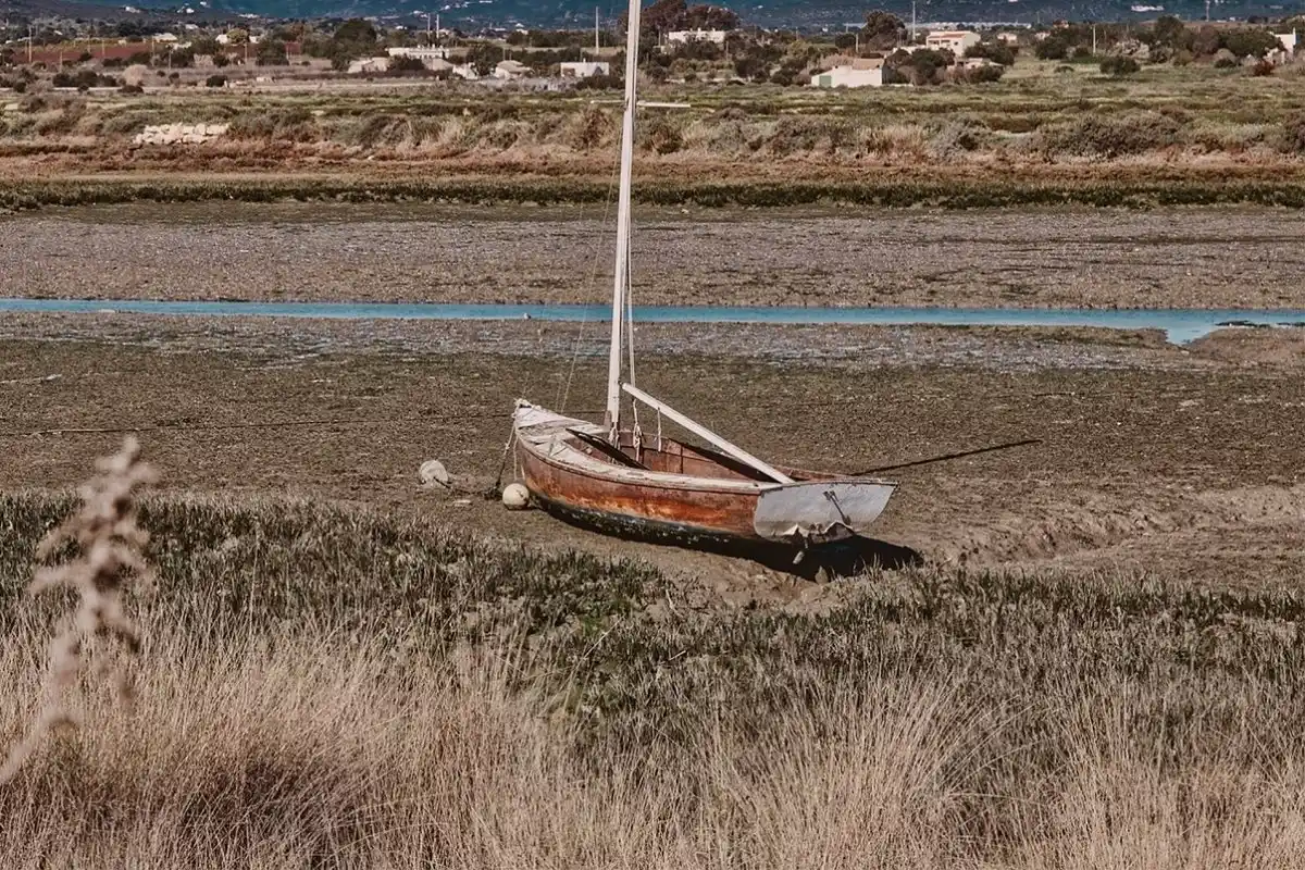 Alarmante pronóstico climático de un investigador de la UNL