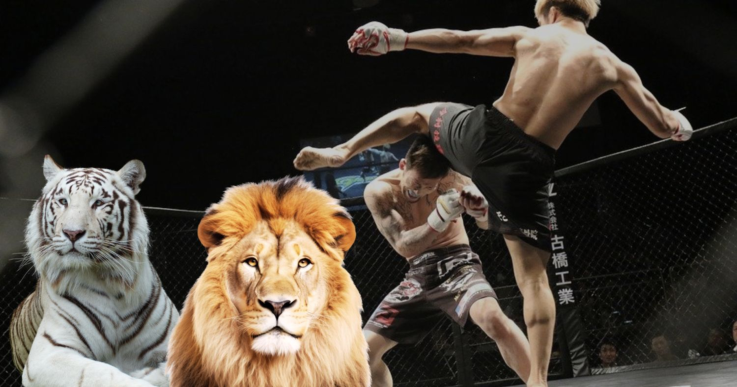 Esta es la estrella de la MMA que vive con leones, cocodrilos y tiburones