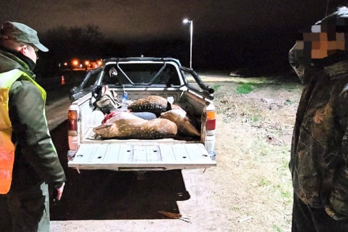 Gendarmería interceptó a cazadores furtivos