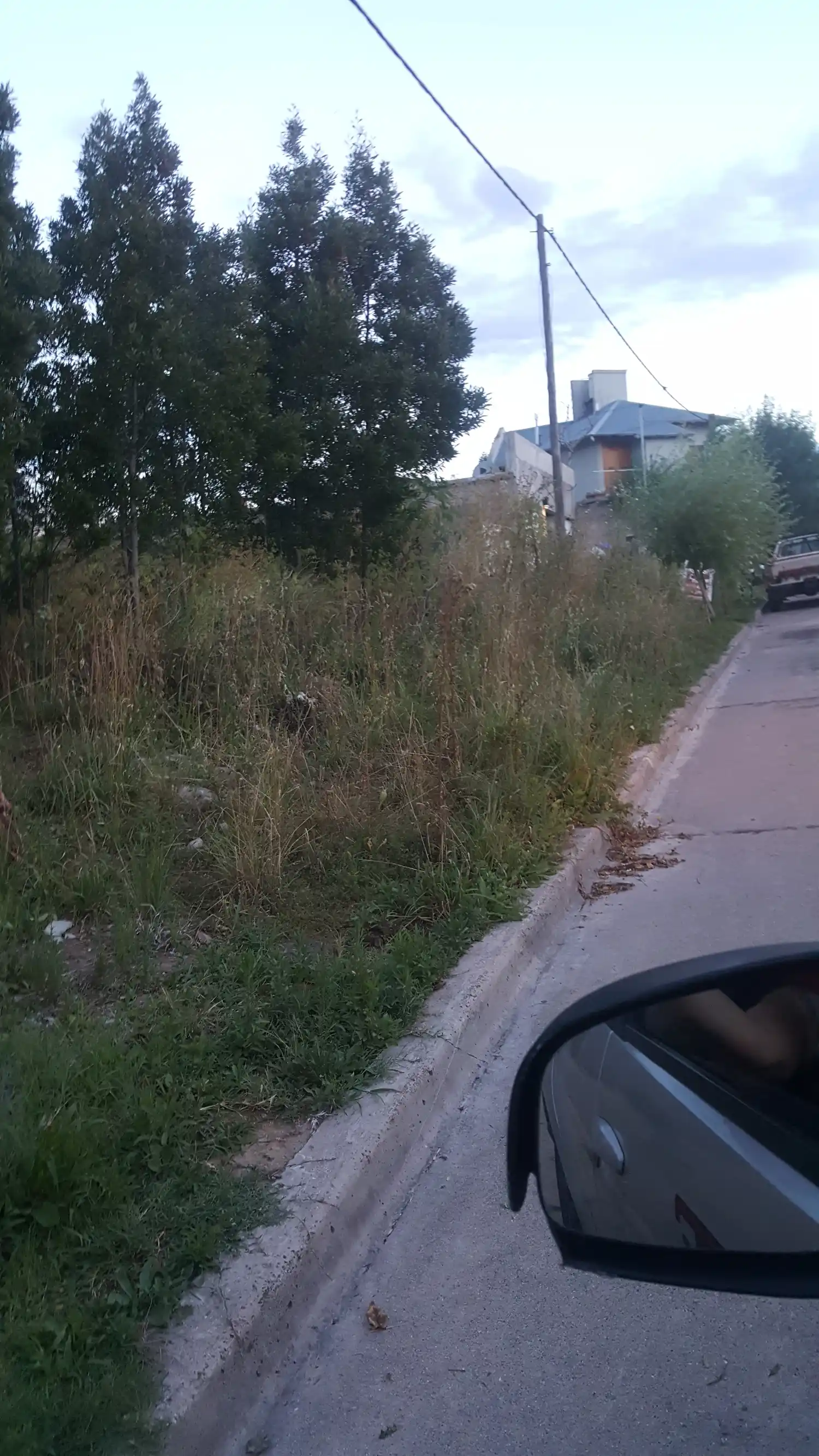 Baldíos descuidados