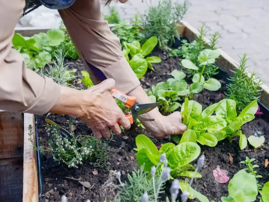 Concordia fue el punto de encuentro para el desarrollo hortícola