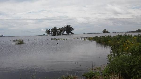 Inundación en Carlos Tejedor: Esperan el máximo ingreso de agua este jueves
