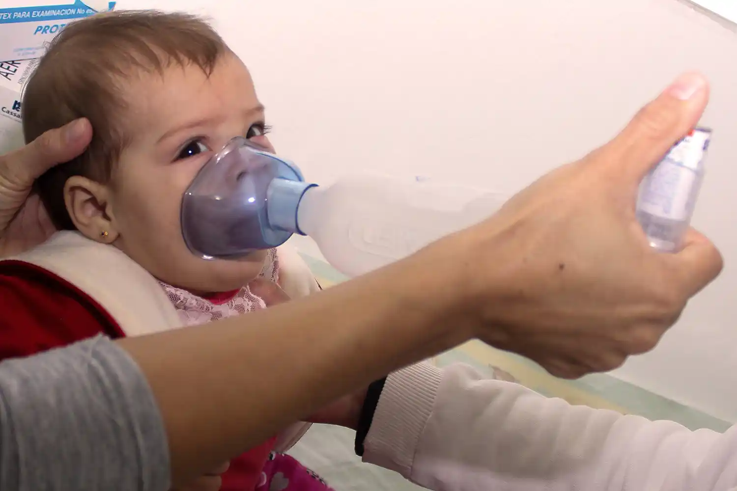 Campaña IRAB 2022: Se iniciaron los encuentros de capacitación en Entre Ríos