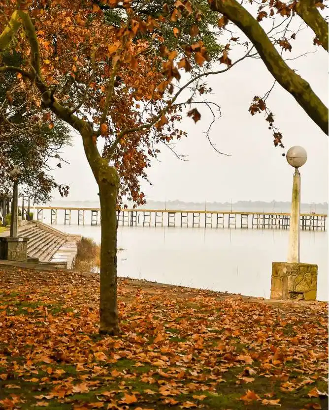 Provincia congelada: todo el territorio en alerta, con picos de 10 grados bajo cero