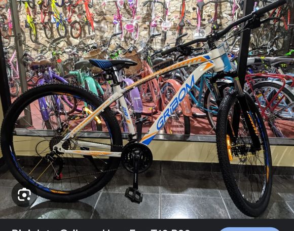 Trepó las rejas, robó una bicicleta y luego la familia recibió extorsiones para recuperarla