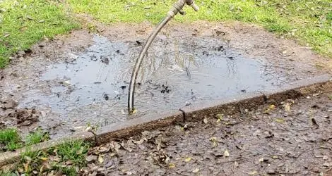 Tres semanas de pérdida
