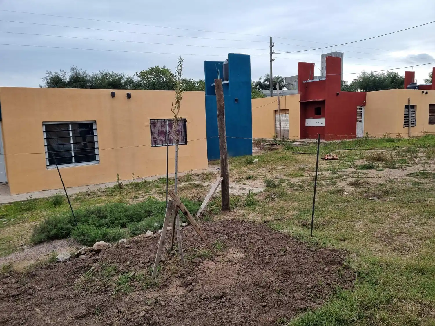 El jardín de la casa de Valeria: esparció las cenizas de su abuela que murió creyéndola propietaria de esa casa. Allí crece un árbol.