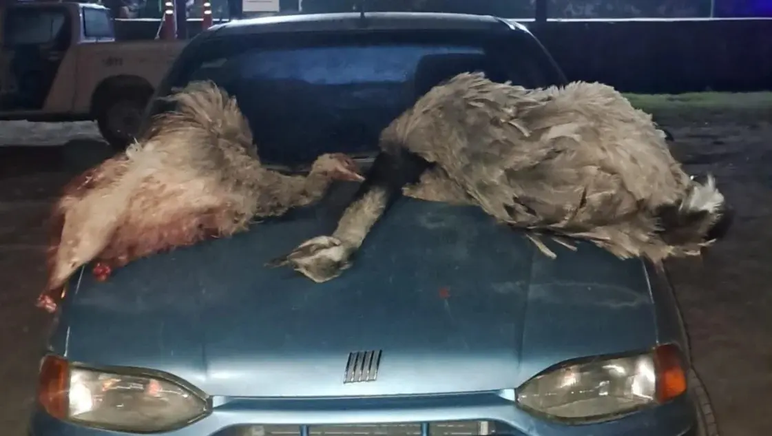 Los hombres fueron detenidos y el auto quedó secuestrado