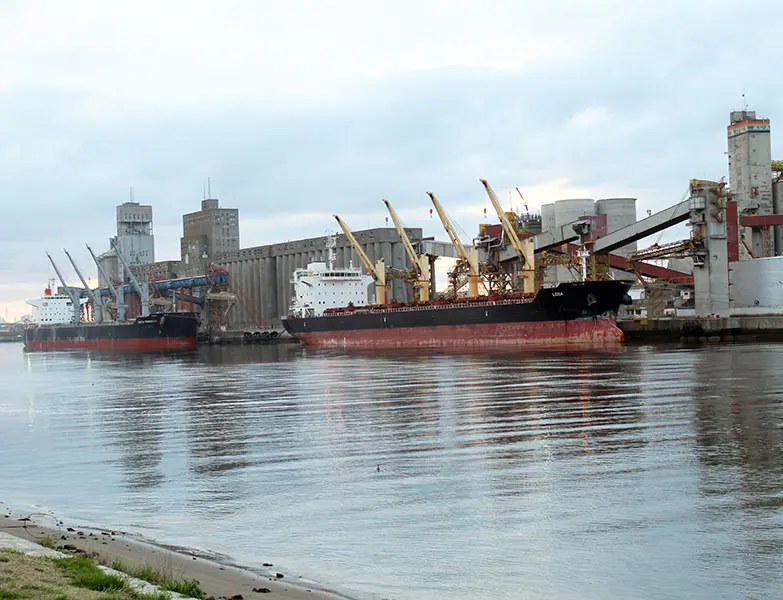 Primarización de las exportaciones
