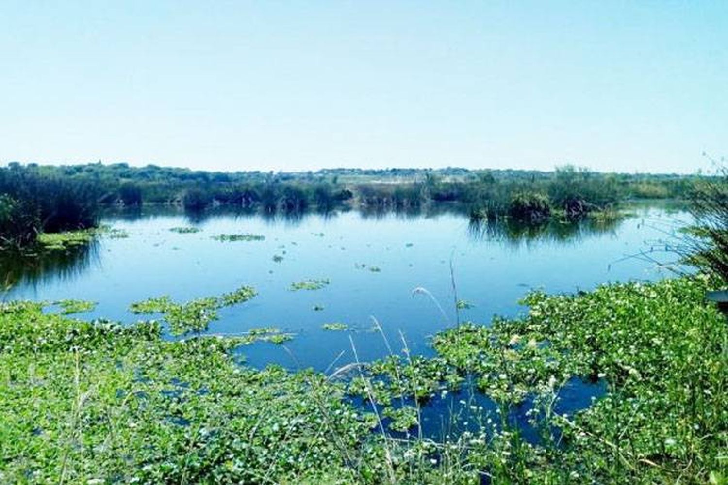 Convocatoria para  participar de una instalación por los humedales,  en el Festival Alma Delta