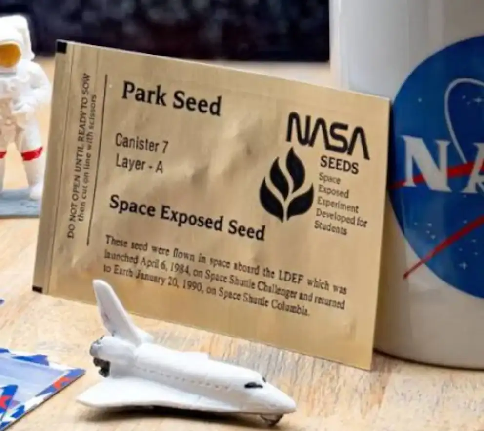 La NASA envió semillas al espacio en 1984 - 4