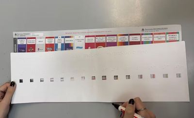 “¿Te gustaría que otro vote por vos?”: el reclamo de personas ciegas ante la falta de accesibilidad de la boleta única