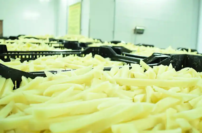 La producción de papas prefritas congeladas en el Parque Industrial "va a generar más de 200 empleos marplatenses"