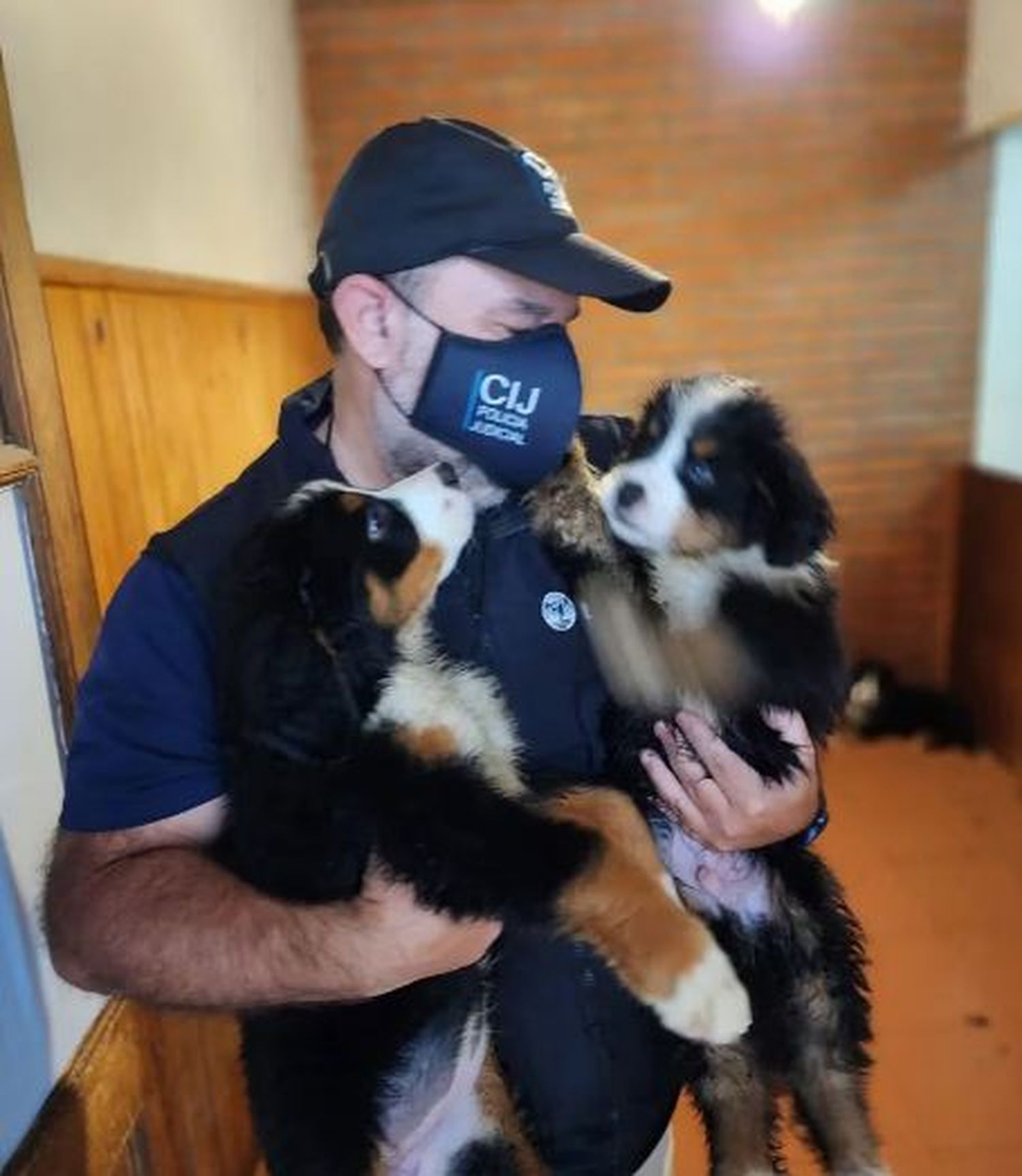 crueldad animal - 4