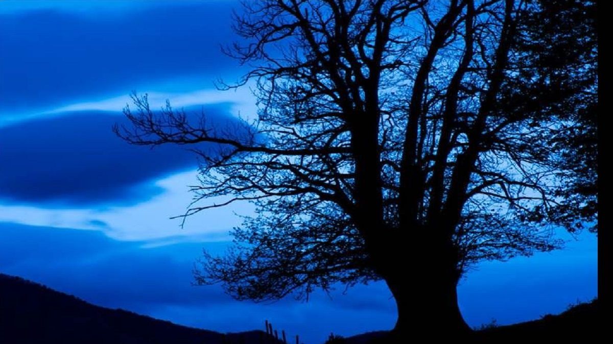 CONTICINIO: ese mágico momento en que se une el silencio y la paz absoluta