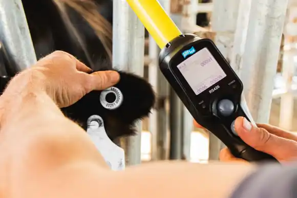 El SENASA implementa el nuevo régimen de caravanas electrónicas a partir de 2026