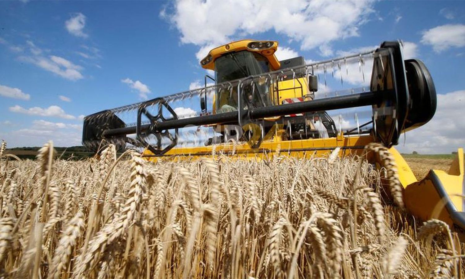 La guerra en Ucrania podría repercutir en el suministro mundial de alimentos