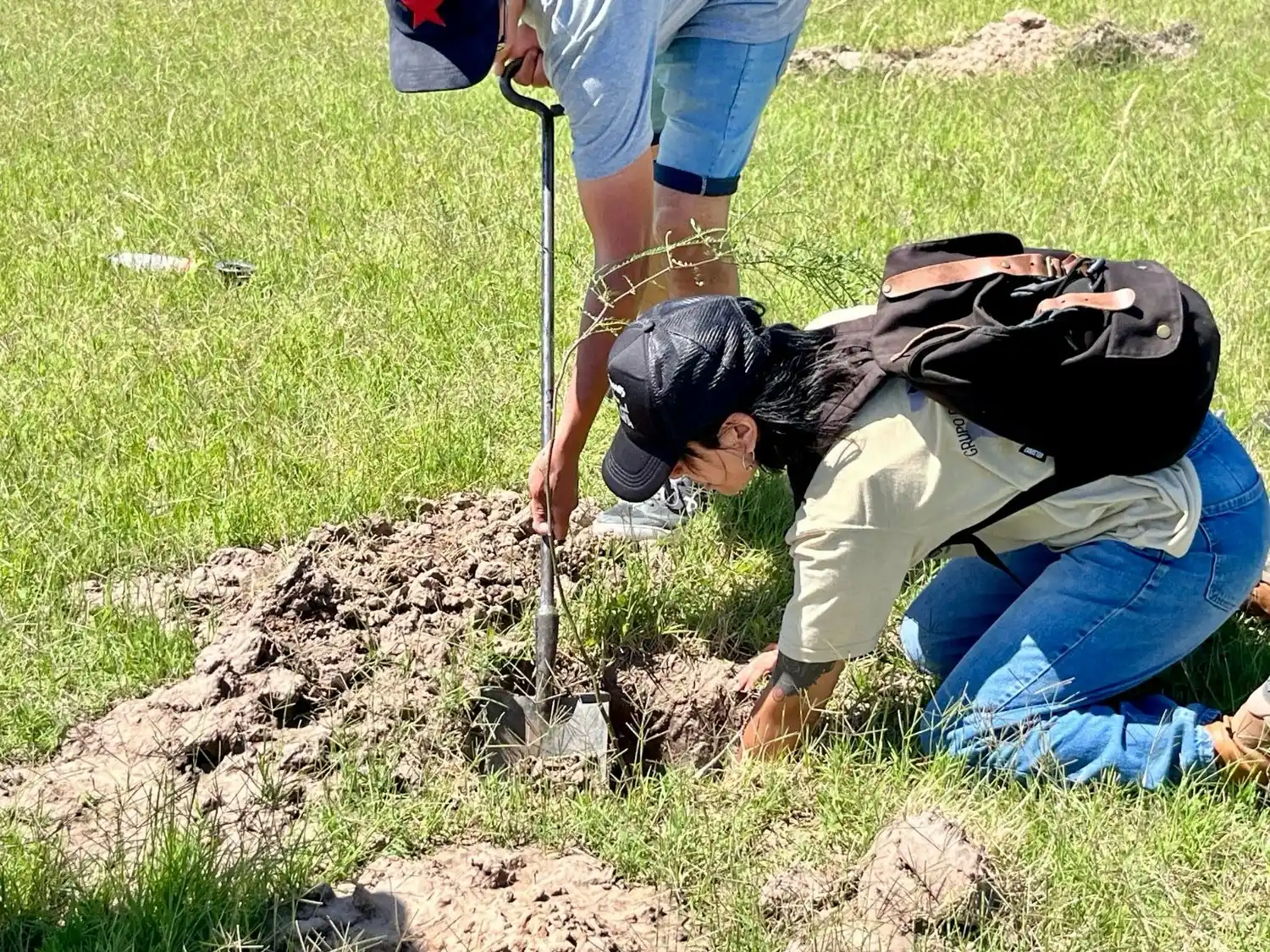 El Parque Municipal sumará una importante cantidad de ejemplares