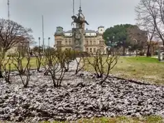 Nevó en Balcarce y en Tres Arroyos... ¿llegará a Tandil?
