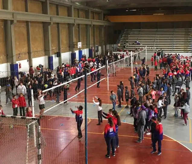Más de 700 chicos en encuentro de mini voley