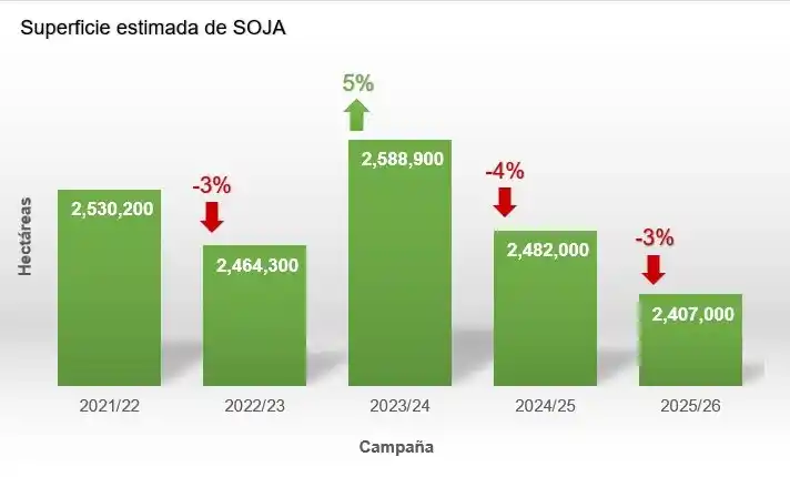 bcp soja 25 26