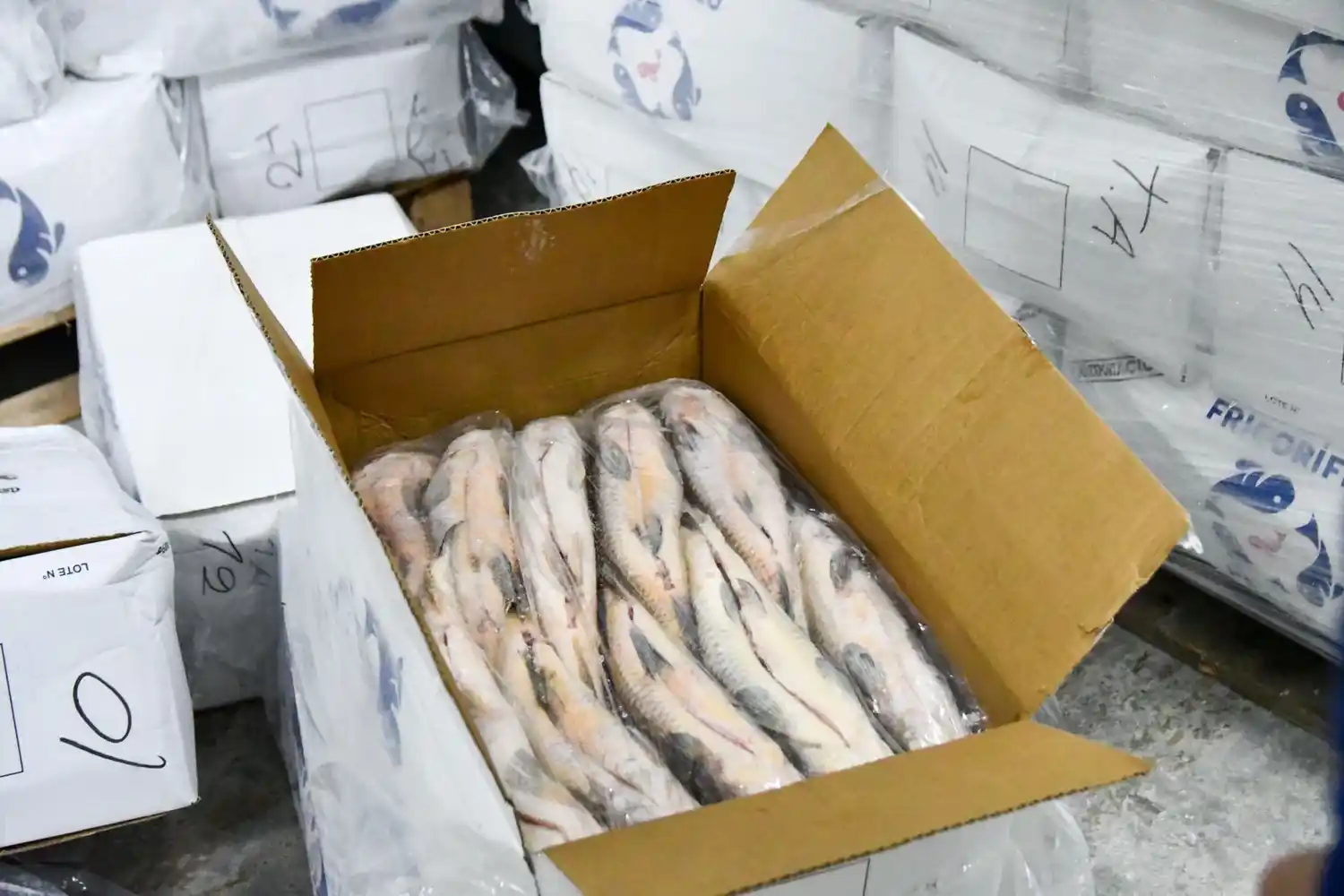 La medida regirá desde el 3 de diciembre. Foto: GSF