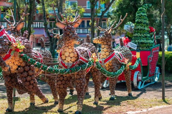 Otra linda idea para copiar: Un proyecto navideño que convirtió a una localidad misionera en un atractivo