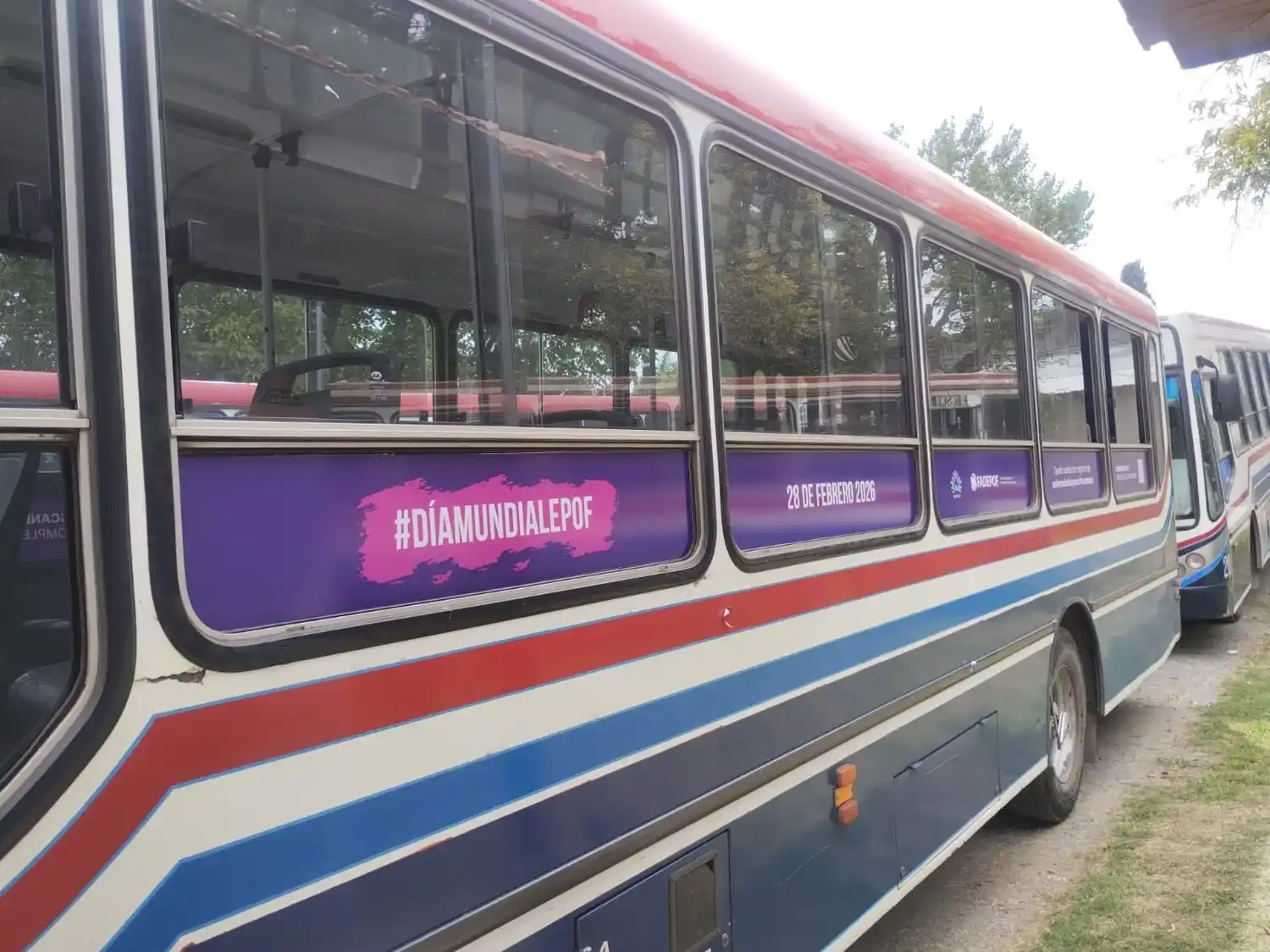 Seis colectivos de la Línea Azul recorrerán la ciudad con información sobre las EPOF.