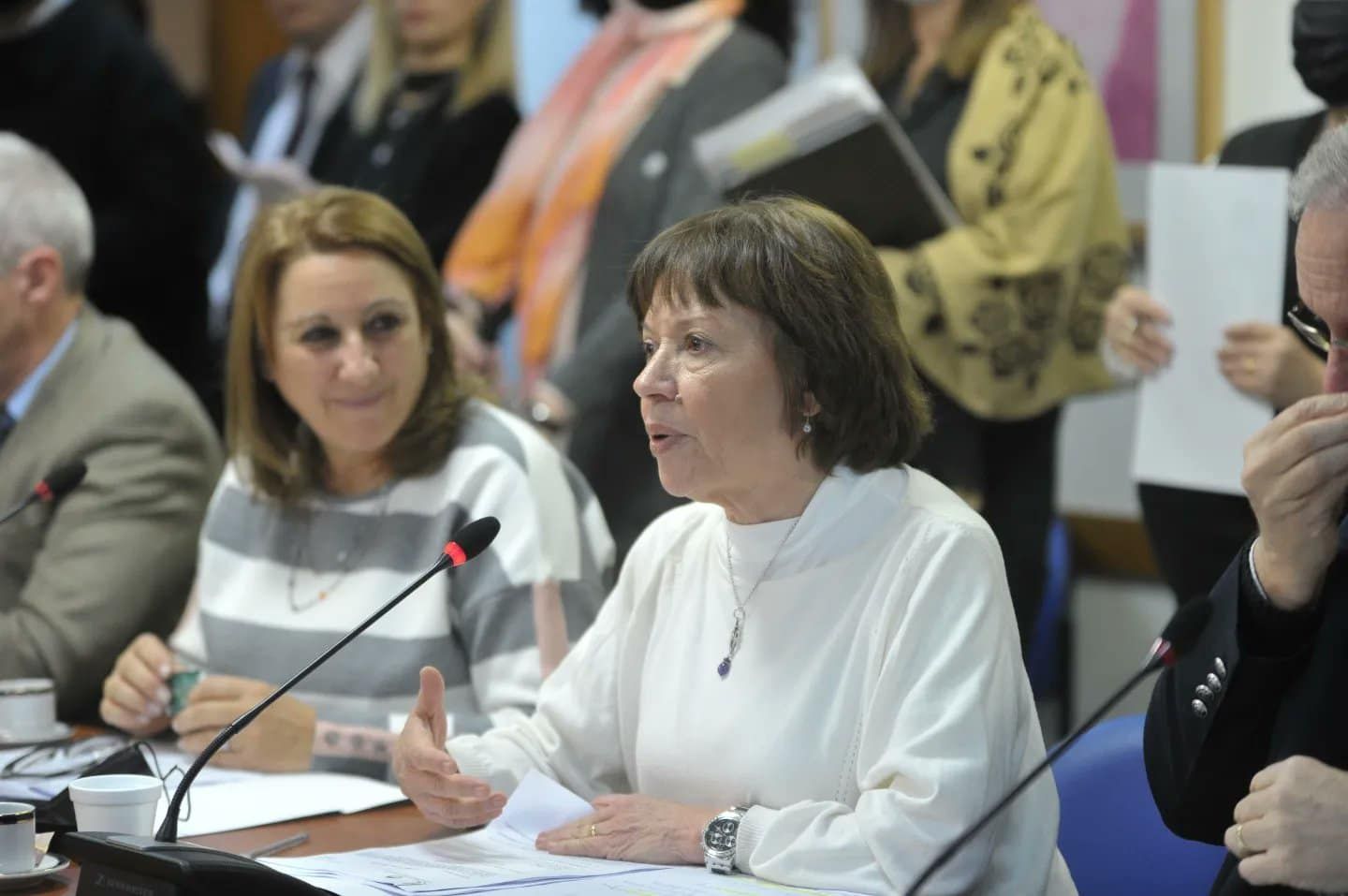 El Congreso comienza a debatir la nacionalización de Humanidades