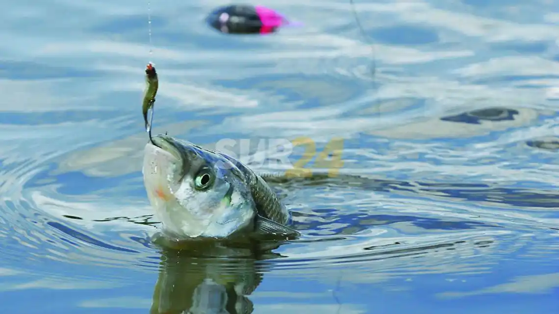 Venado: Pescadores cumplieron corte parcial en ruta 8 y amenazan con profundizar la protesta