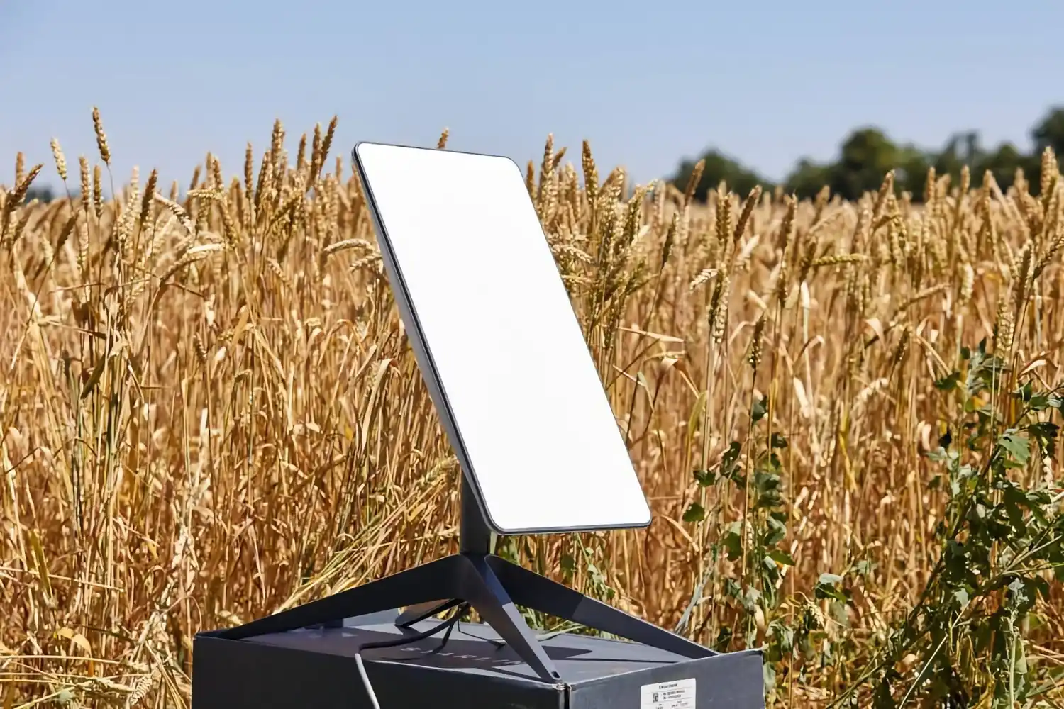 Cuánto cuesta y cómo es Starlink, la internet de Musk ideal para el campo bonaerense