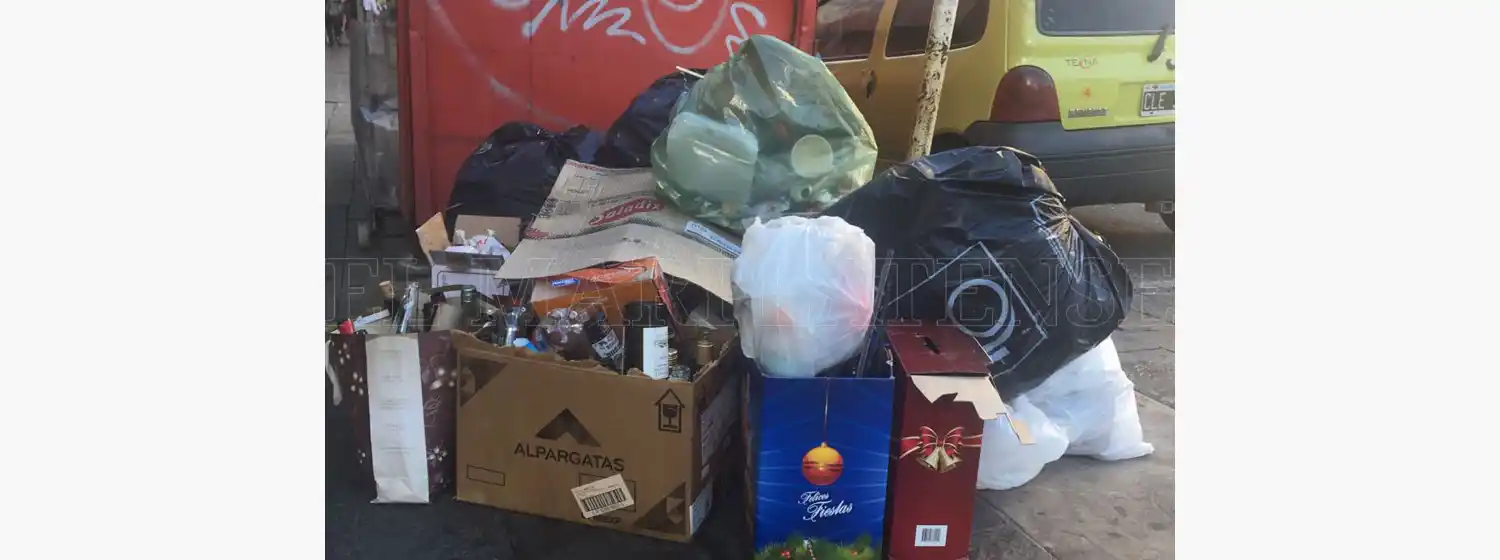 Hay nuevos problemas con la recolección de residuos en Mar del Plata