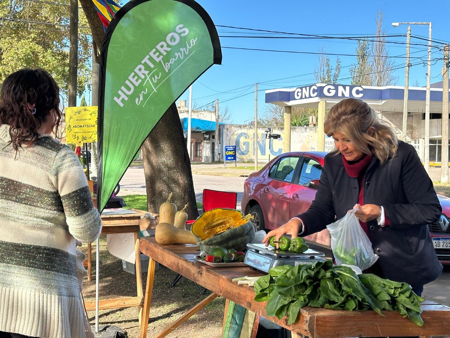 Frutas y verduras cultivadas en Venado Tuerto.