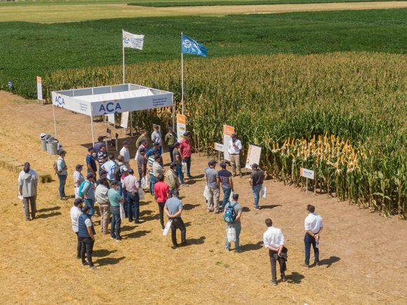 A Campo Abierto celebra sus 20 años mostrando innovaciones