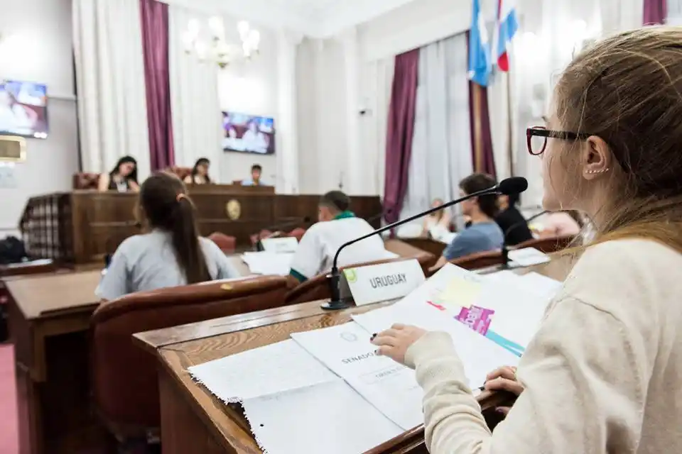 Senado Juvenil: Por primera vez habrá participación de chicos que habitan en la zona de islas de Victoria