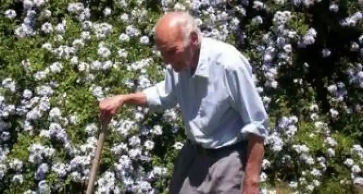 Santa Lucía alza las copas por su centenario
