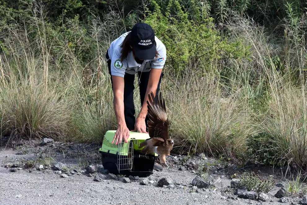 policía ambiental