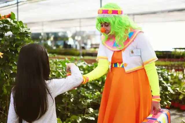 Se realizará un curso de payamédicos