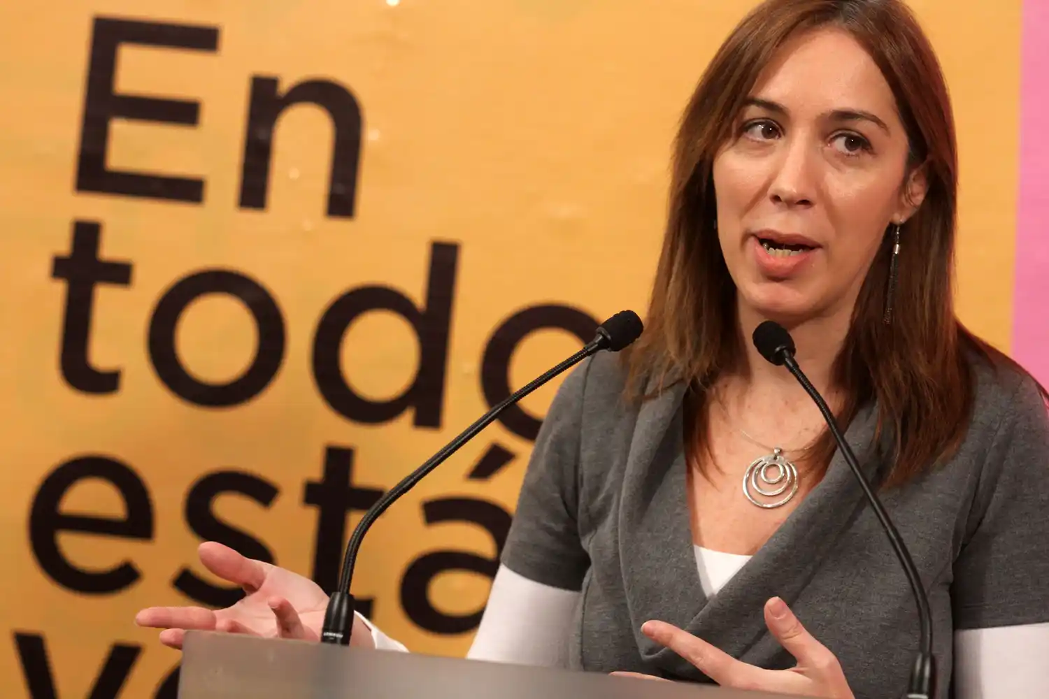 Elecciones 2015: El PRO desembarca en Mar del Plata