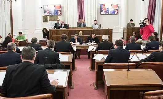 El Senado contra la reforma de la ley de Salud Mental 