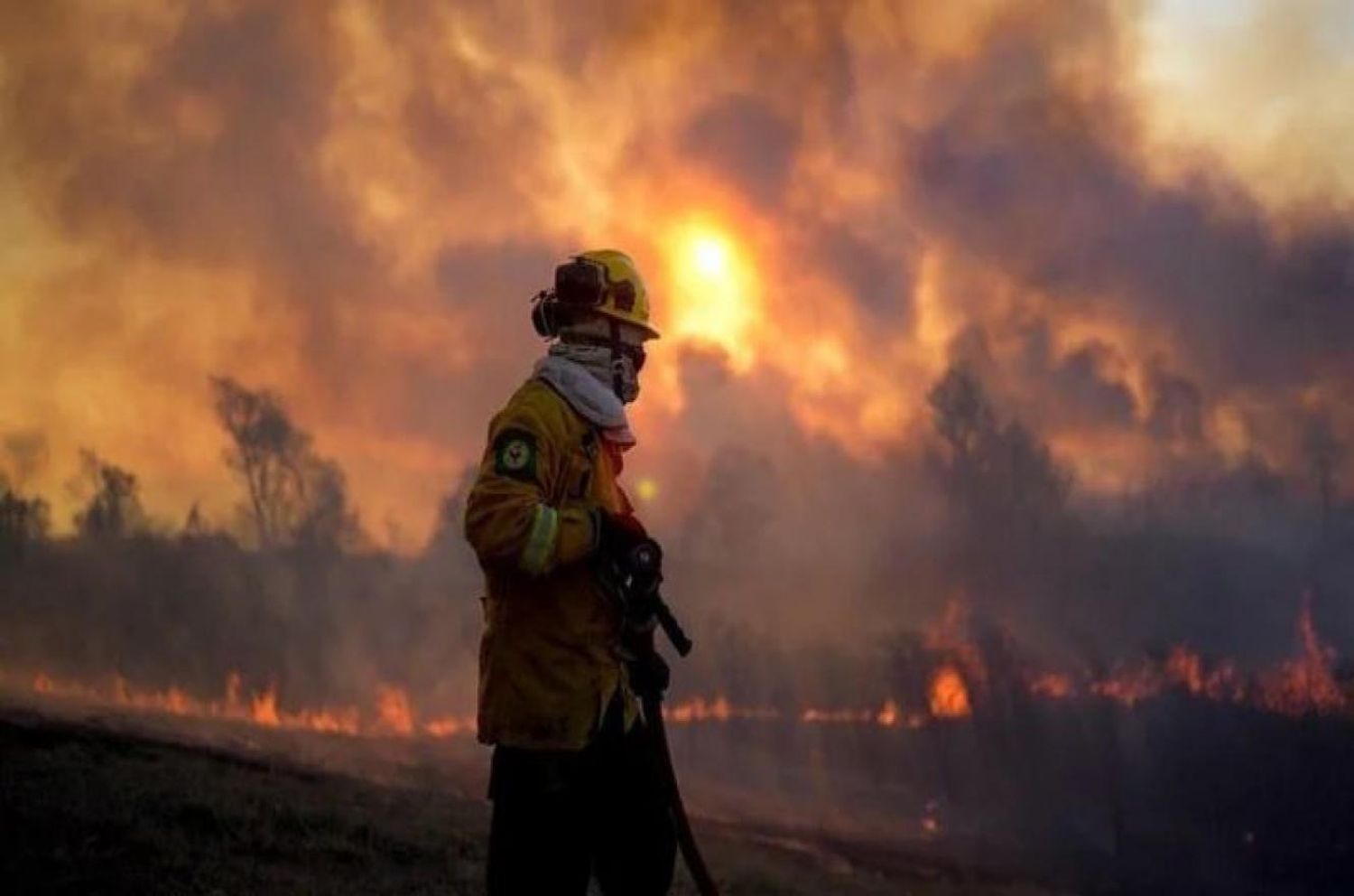 Se prorrogó la emergencia ígnea: advierten “peligro inminente de una catástrofe ambiental”