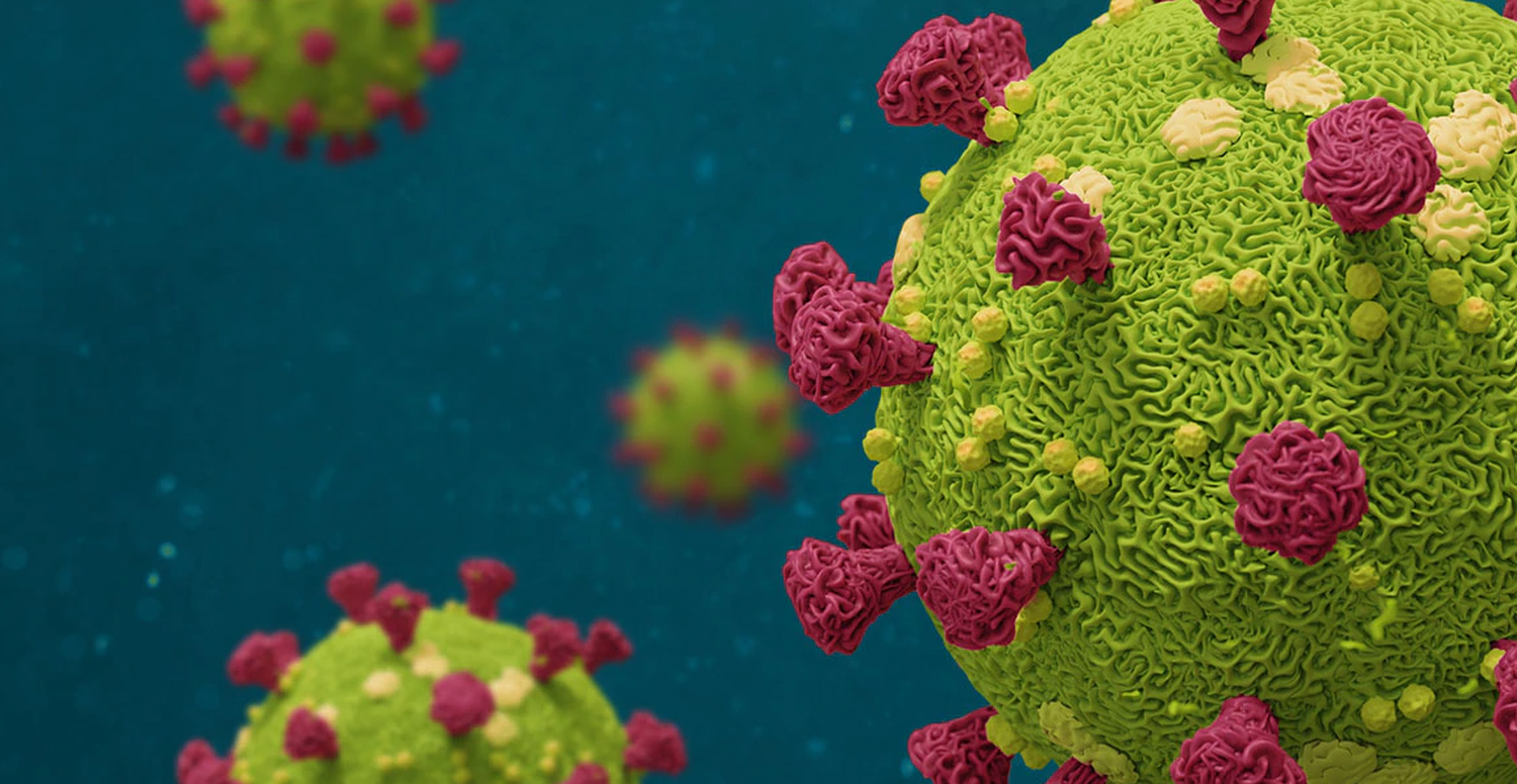 #Coronavirus Parte 29 de noviembre de 2021: 1.968 casos y 25 muertes informadas en las últimas 24 horas